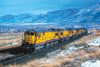 2025 UNION PACIFIC COLOR CALENDAR