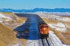 2025 BNSF COLOR CALENDAR